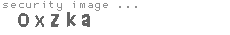 security image