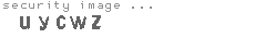 security image