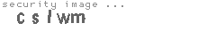 security image