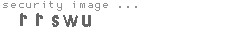 security image