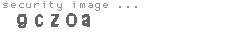 security image