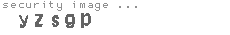 security image