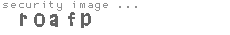 security image
