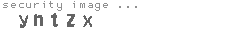security image