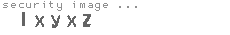 security image