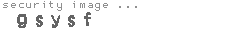 security image