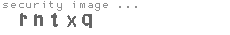 security image