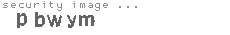security image