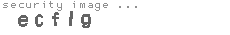 security image
