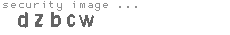 security image