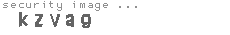 security image