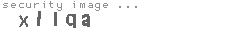security image
