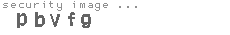 security image