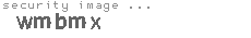 security image