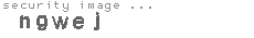 security image