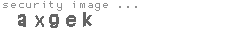 security image