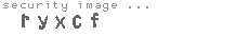 security image