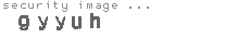 security image