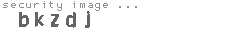 security image