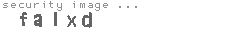 security image