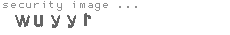 security image