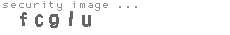 security image