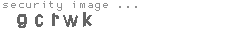 security image