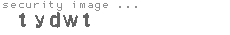 security image