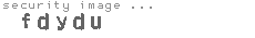 security image