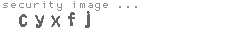 security image