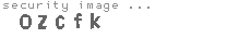 security image