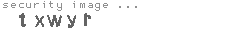 security image