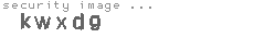 security image