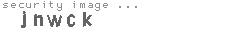 security image