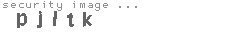 security image