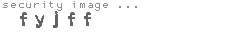 security image