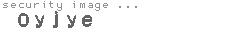 security image