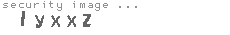 security image