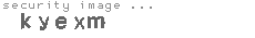 security image