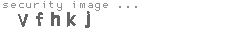 security image