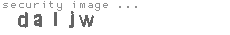security image