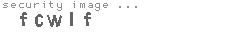 security image