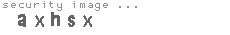 security image