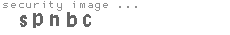 security image