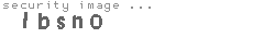 security image