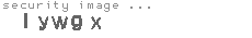 security image