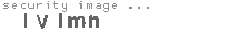security image