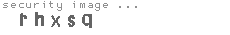 security image