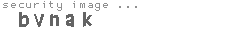 security image