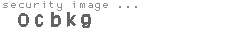 security image